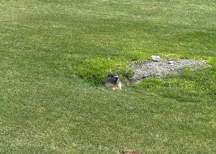 아파트 Maison Carrel Elegant 7 *